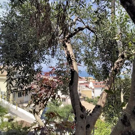 Bungalow Nefeli Agios Gordios (Corfu) Exterior photo